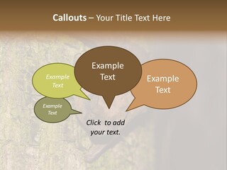 Noctula European Tree PowerPoint Template