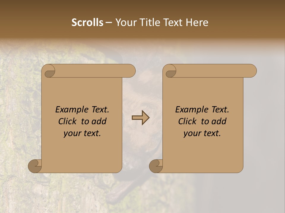Noctula European Tree PowerPoint Template