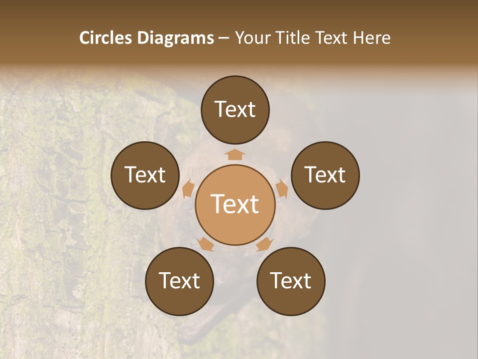 Noctula European Tree PowerPoint Template