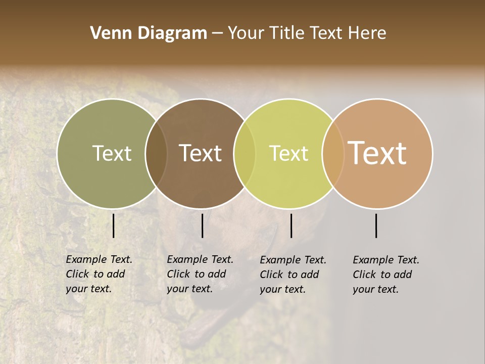 Noctula European Tree PowerPoint Template