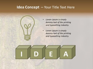 Noctula European Tree PowerPoint Template