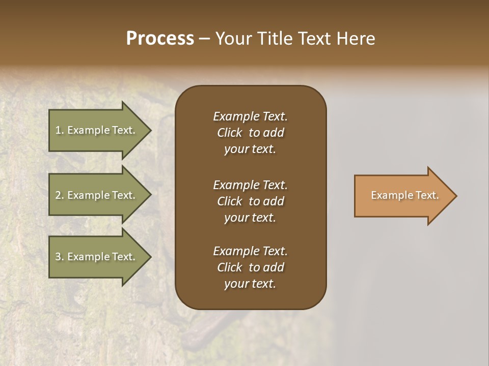 Noctula European Tree PowerPoint Template