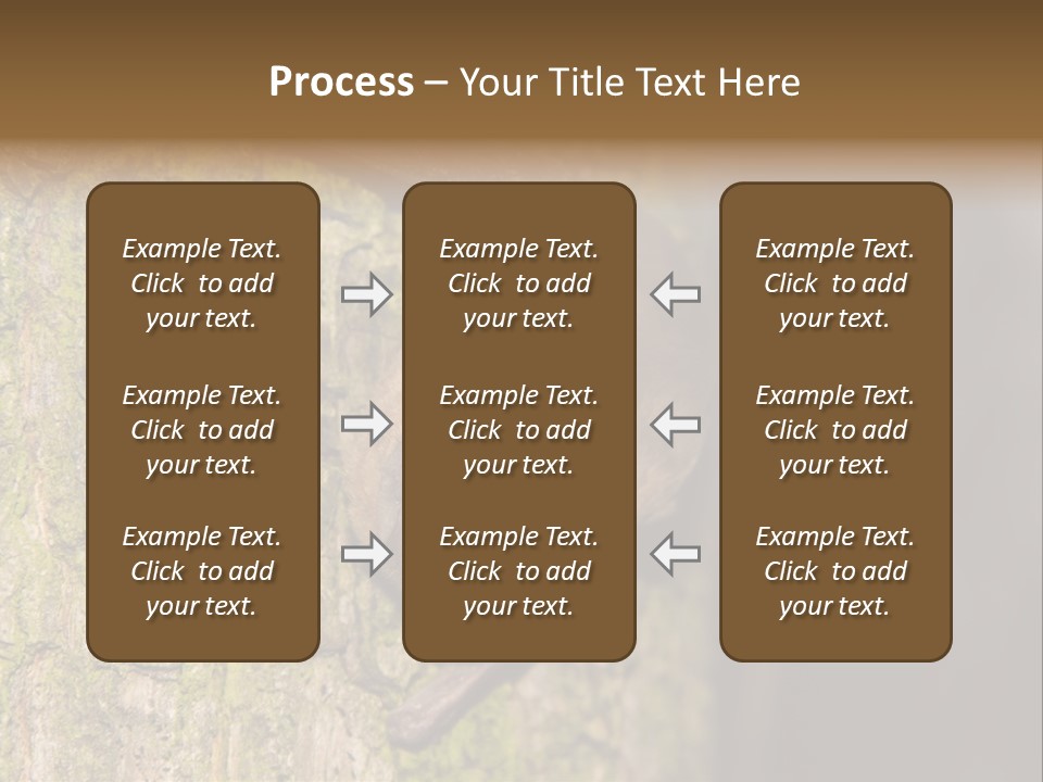 Noctula European Tree PowerPoint Template