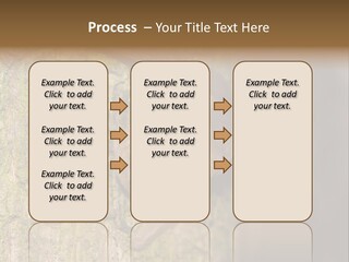 Noctula European Tree PowerPoint Template