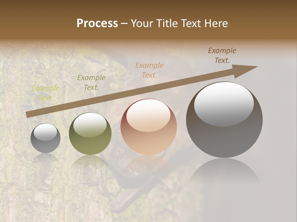 Noctula European Tree PowerPoint Template