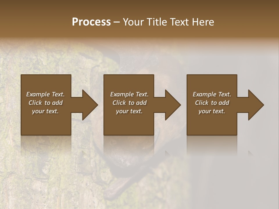 Noctula European Tree PowerPoint Template