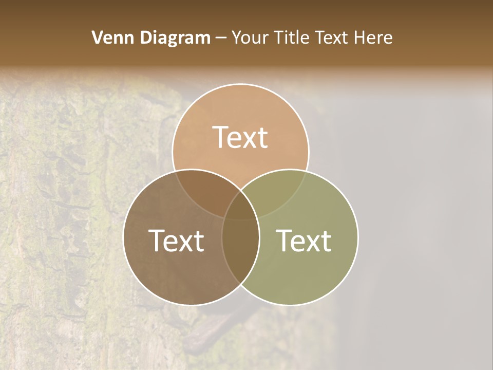 Noctula European Tree PowerPoint Template