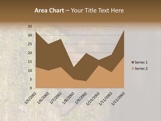 Noctula European Tree PowerPoint Template