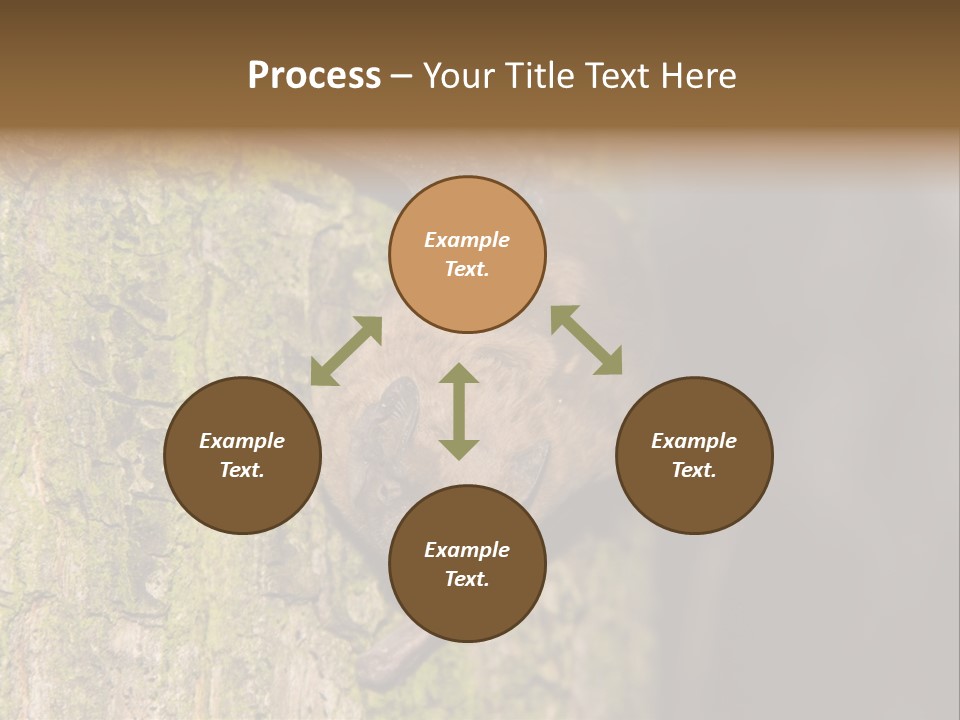 Noctula European Tree PowerPoint Template