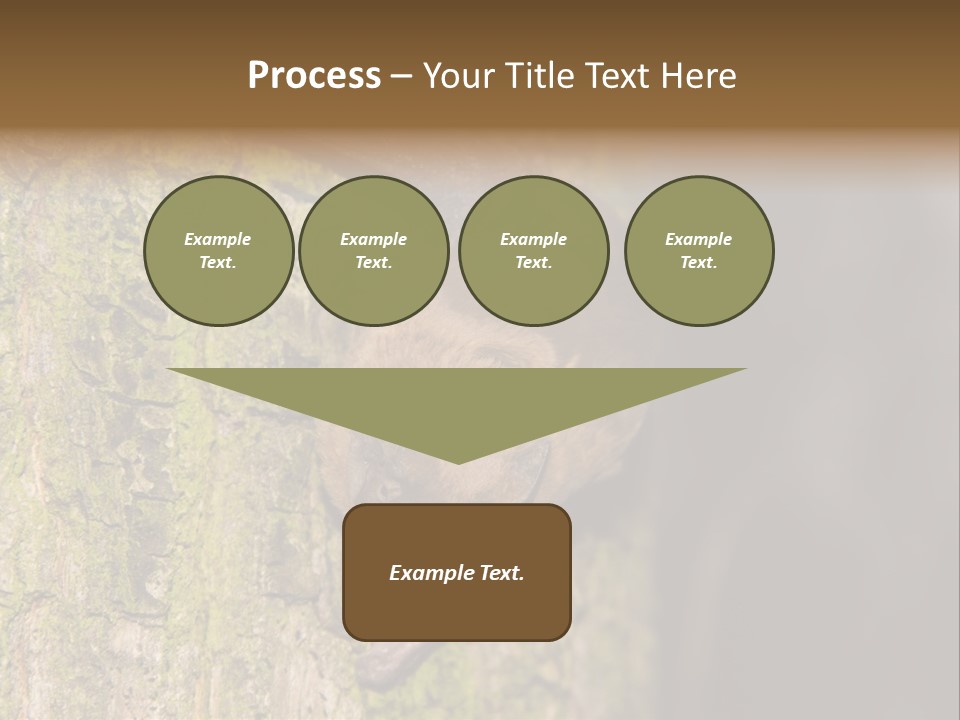 Noctula European Tree PowerPoint Template