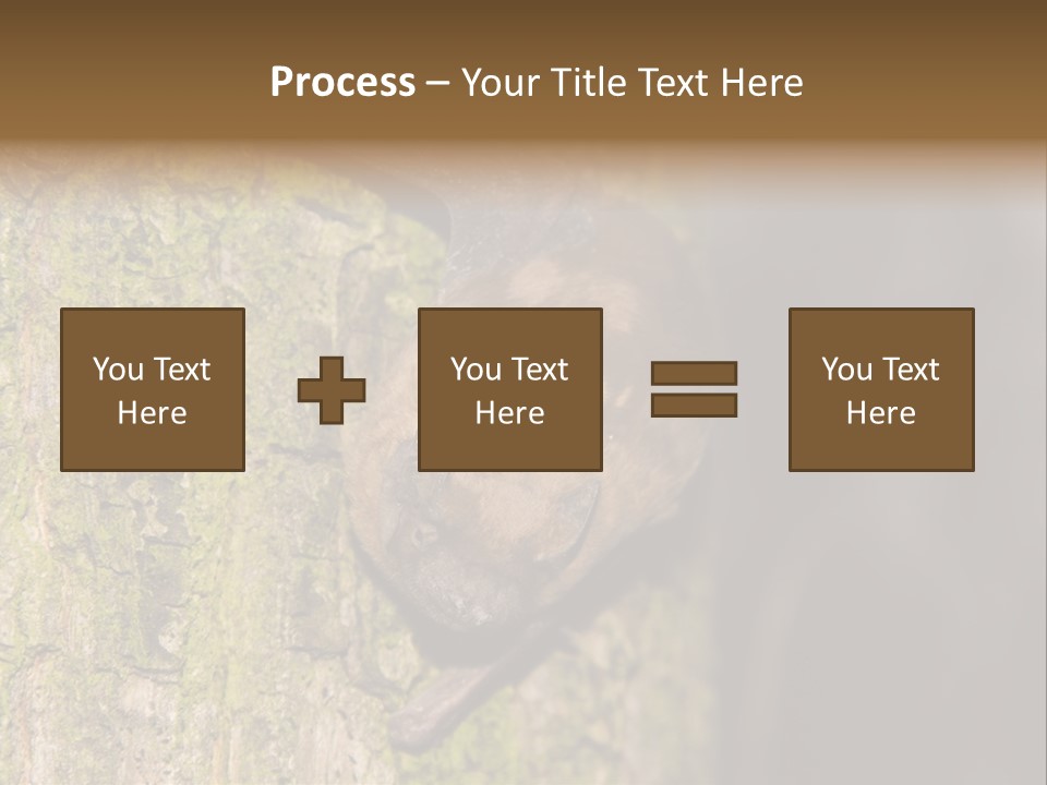 Noctula European Tree PowerPoint Template