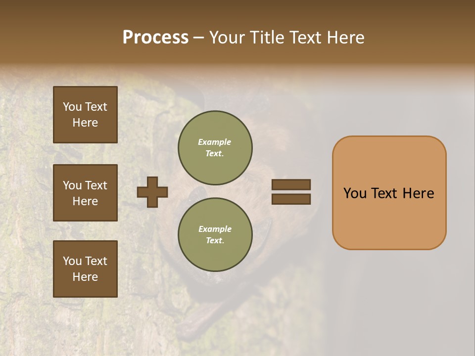 Noctula European Tree PowerPoint Template