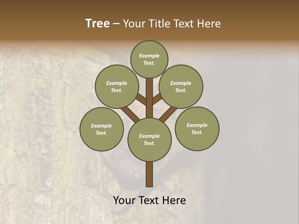 Noctula European Tree PowerPoint Template