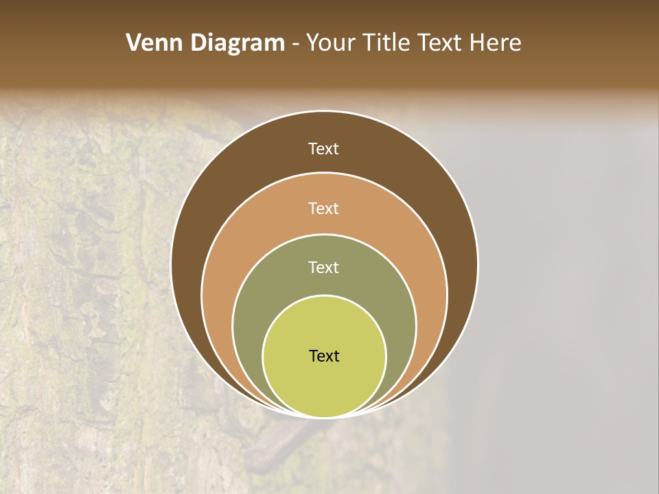 Noctula European Tree PowerPoint Template