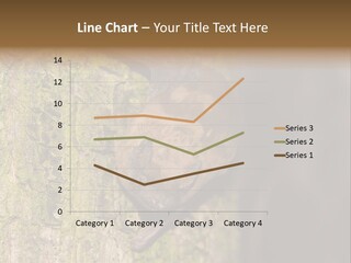 Noctula European Tree PowerPoint Template