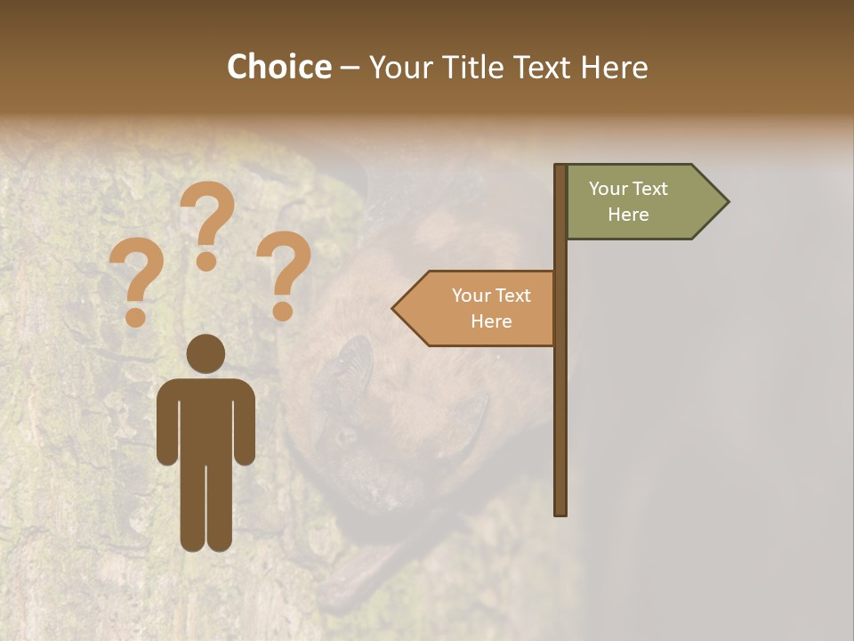 Noctula European Tree PowerPoint Template