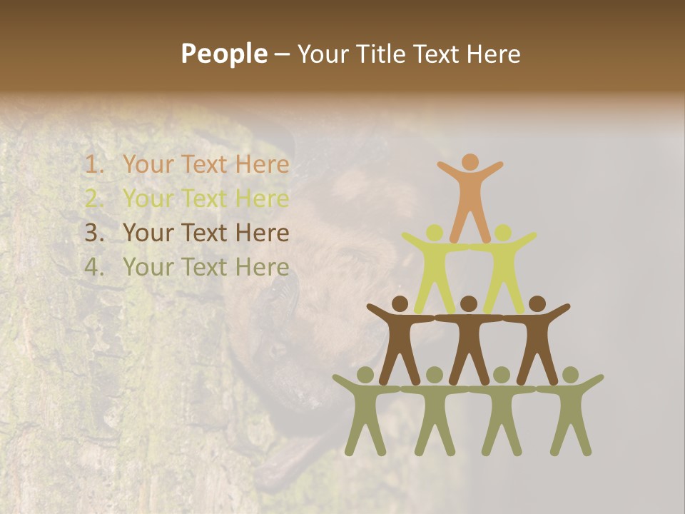 Noctula European Tree PowerPoint Template