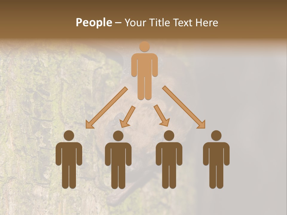 Noctula European Tree PowerPoint Template