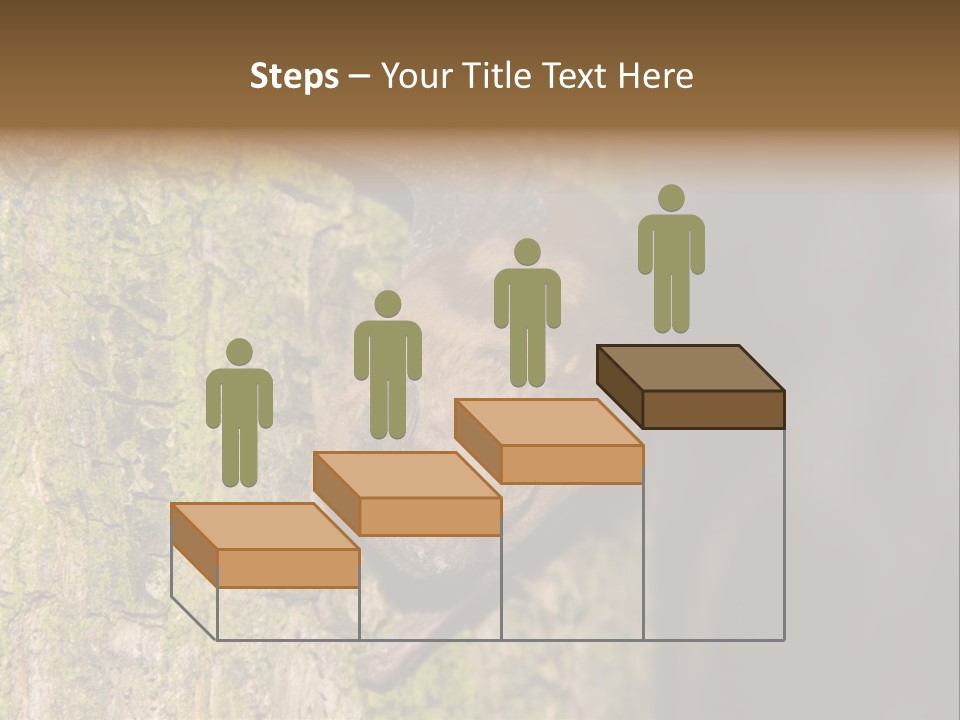 Noctula European Tree PowerPoint Template