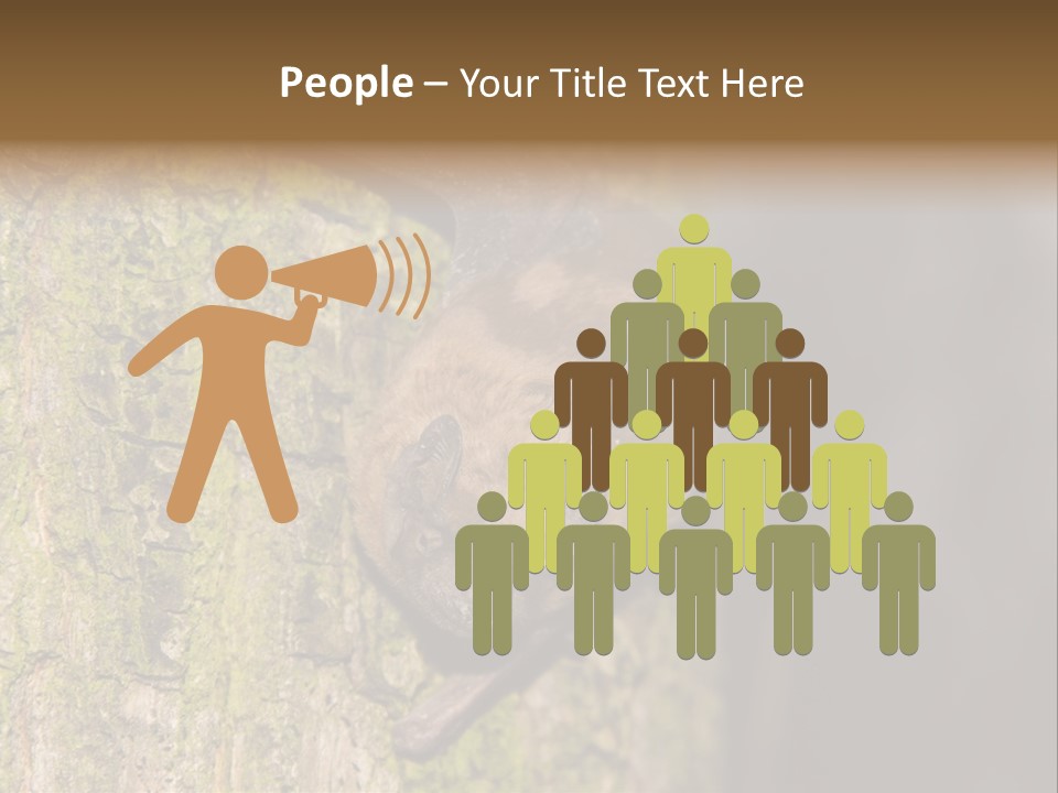 Noctula European Tree PowerPoint Template