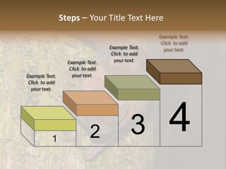 Noctula European Tree PowerPoint Template