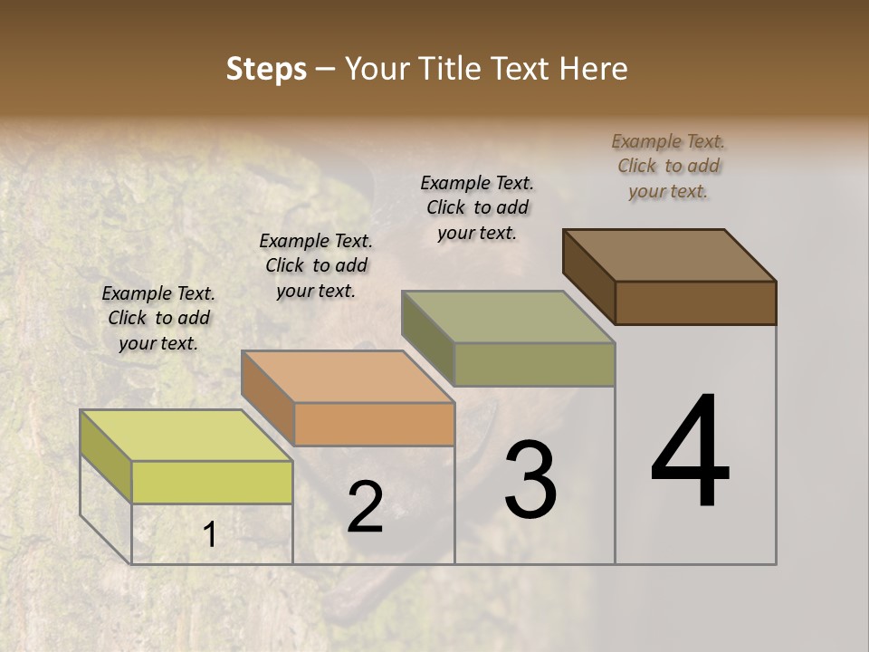 Noctula European Tree PowerPoint Template