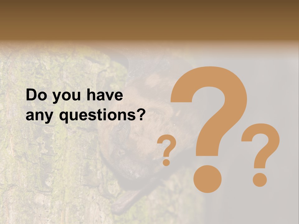 Noctula European Tree PowerPoint Template