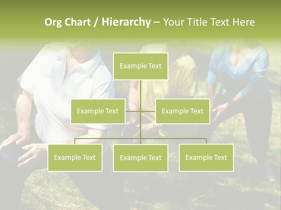 A Group Of Women Doing Yoga In A Park PowerPoint Template