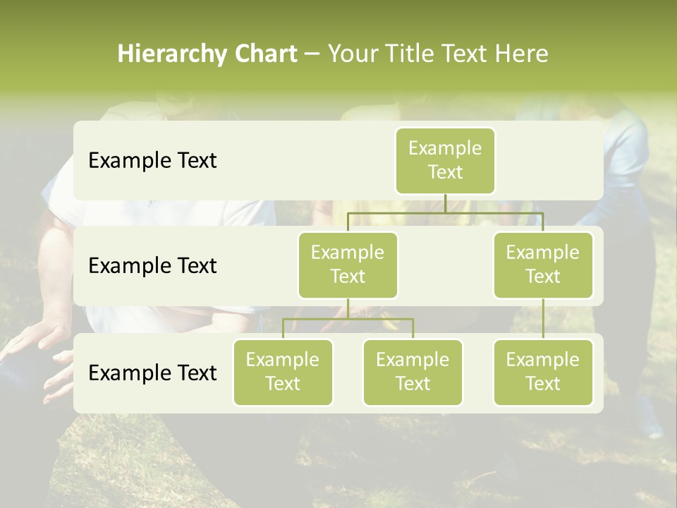A Group Of Women Doing Yoga In A Park PowerPoint Template