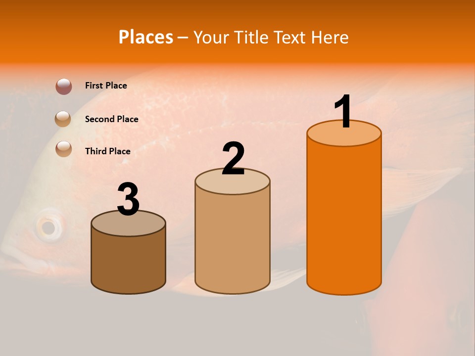 Symphysodon Display Pterophyllum PowerPoint Template