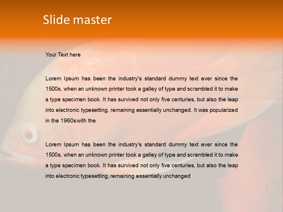 Symphysodon Display Pterophyllum PowerPoint Template