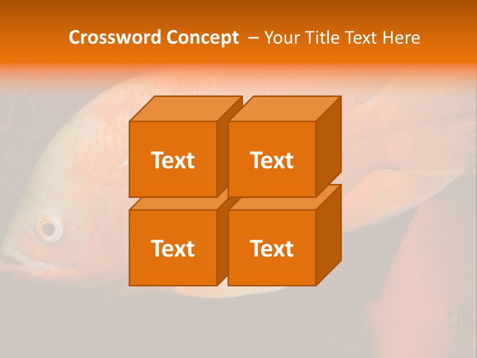 Symphysodon Display Pterophyllum PowerPoint Template