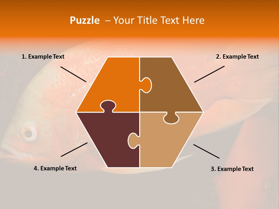 Symphysodon Display Pterophyllum PowerPoint Template