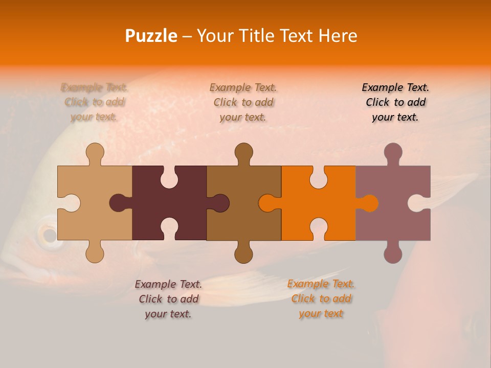 Symphysodon Display Pterophyllum PowerPoint Template