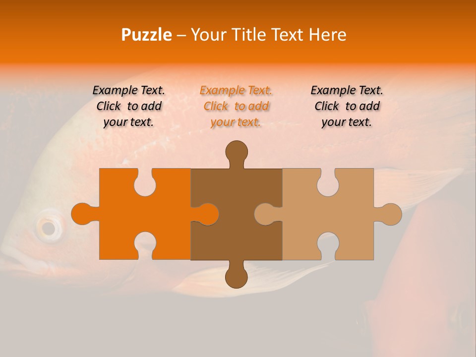 Symphysodon Display Pterophyllum PowerPoint Template