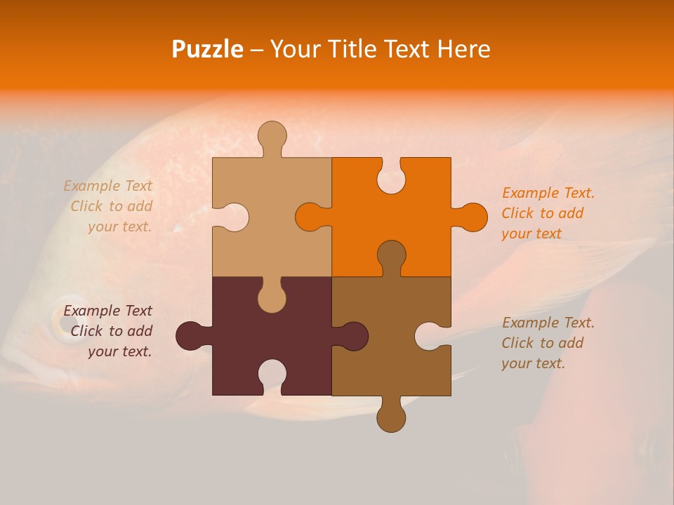 Symphysodon Display Pterophyllum PowerPoint Template