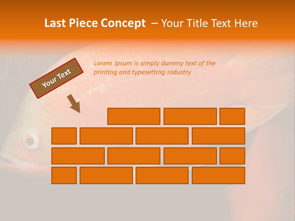 Symphysodon Display Pterophyllum PowerPoint Template