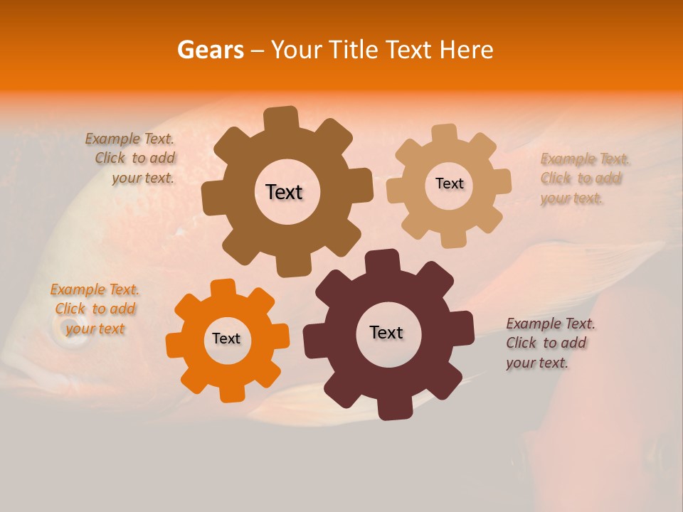 Symphysodon Display Pterophyllum PowerPoint Template