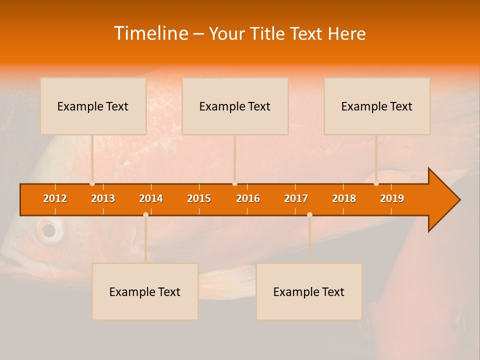 Symphysodon Display Pterophyllum PowerPoint Template