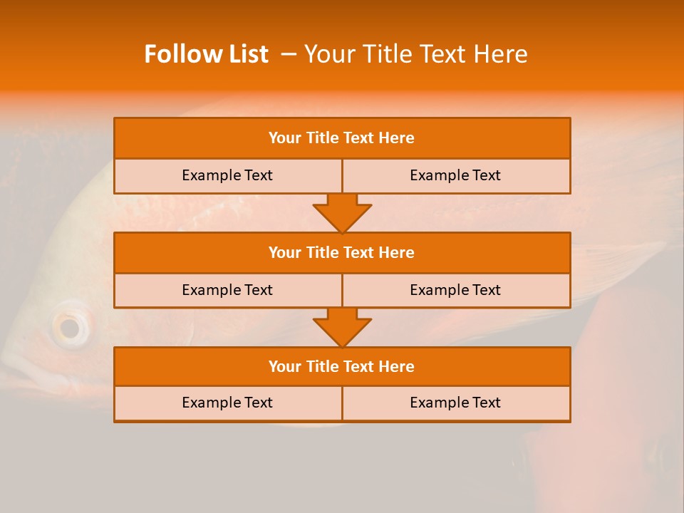 Symphysodon Display Pterophyllum PowerPoint Template