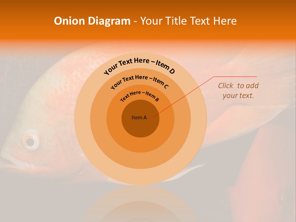 Symphysodon Display Pterophyllum PowerPoint Template