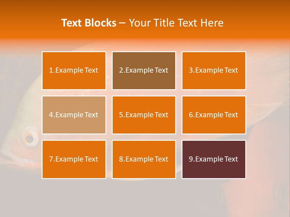 Symphysodon Display Pterophyllum PowerPoint Template