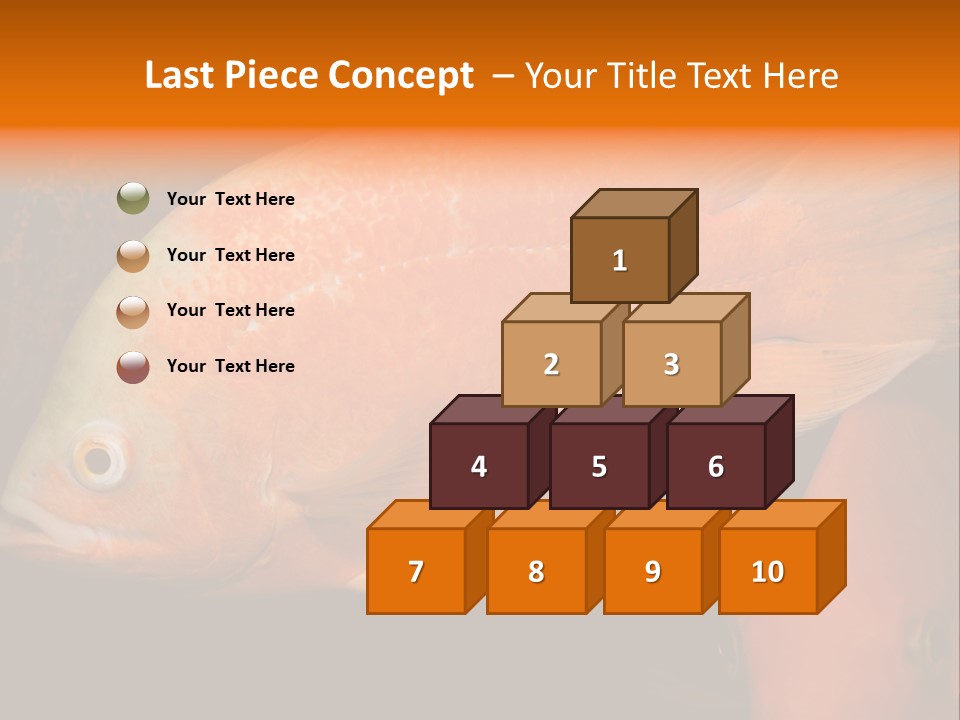 Symphysodon Display Pterophyllum PowerPoint Template