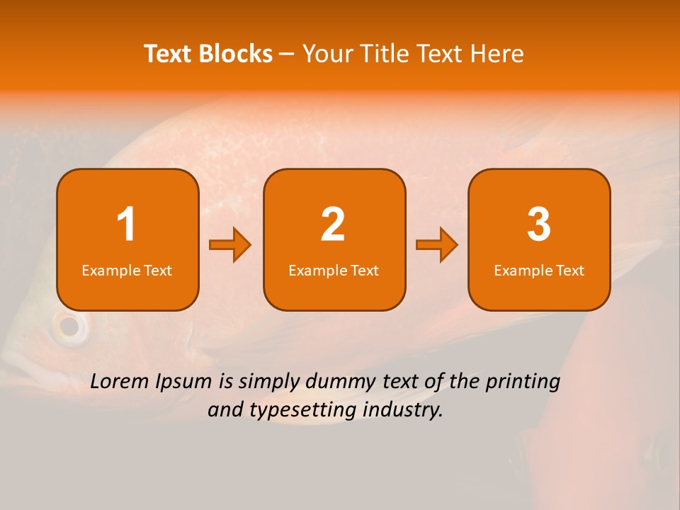 Symphysodon Display Pterophyllum PowerPoint Template