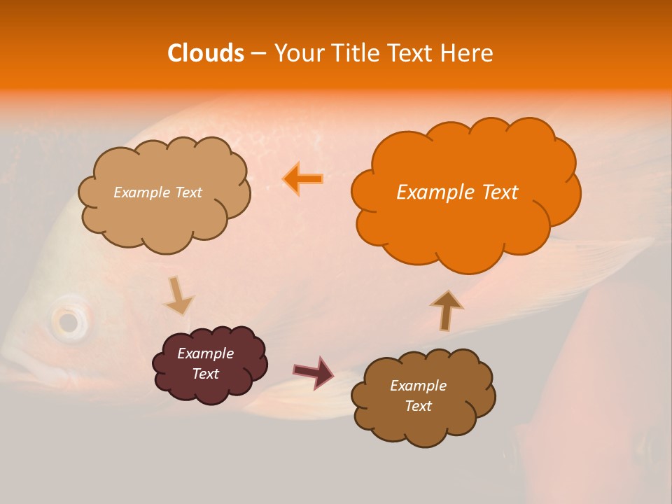 Symphysodon Display Pterophyllum PowerPoint Template