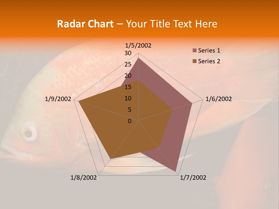 Symphysodon Display Pterophyllum PowerPoint Template