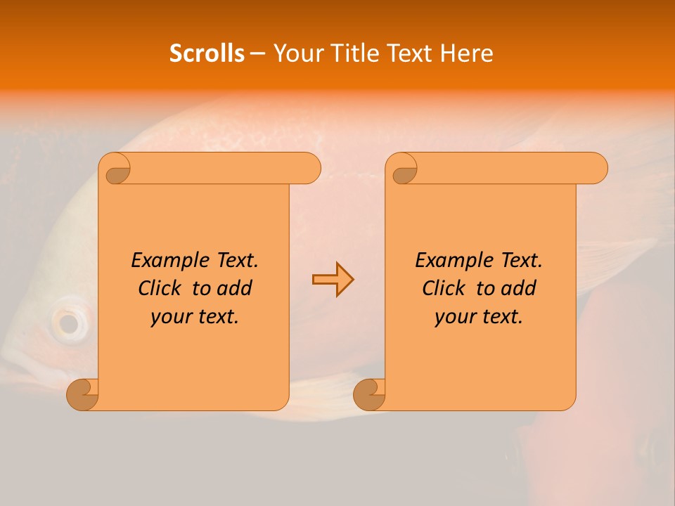 Symphysodon Display Pterophyllum PowerPoint Template