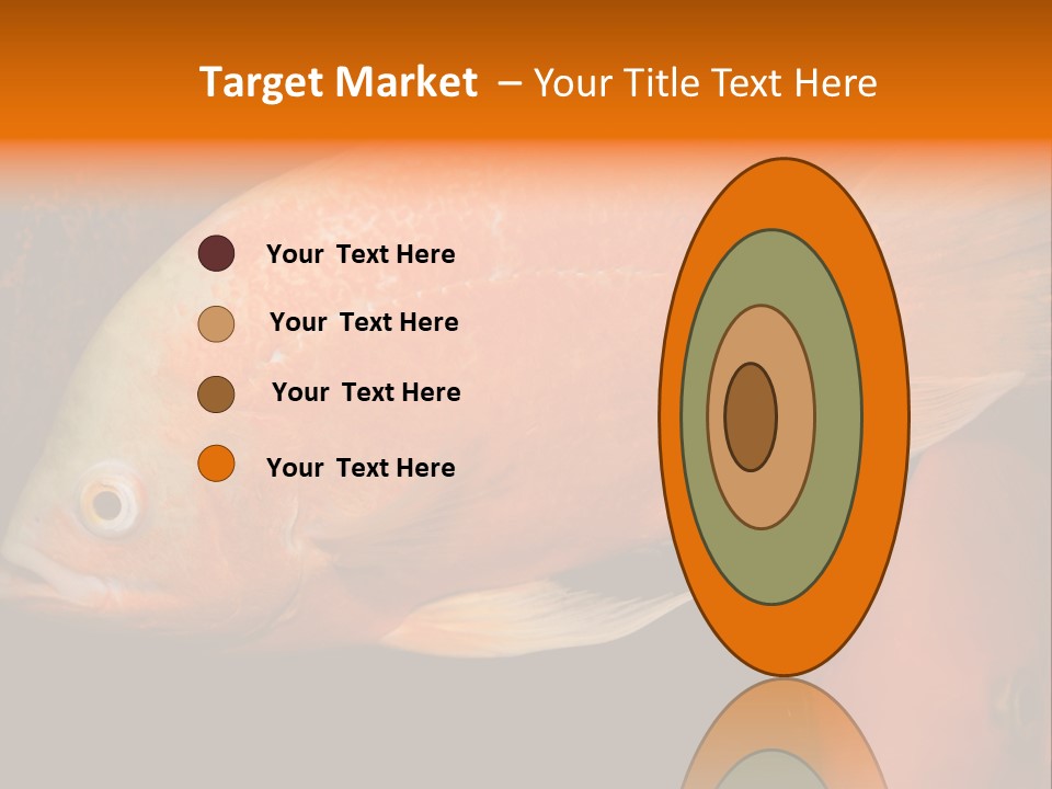 Symphysodon Display Pterophyllum PowerPoint Template