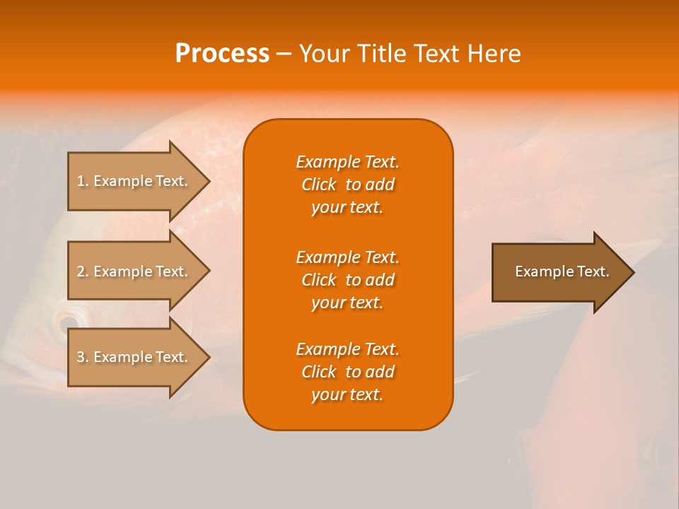 Symphysodon Display Pterophyllum PowerPoint Template