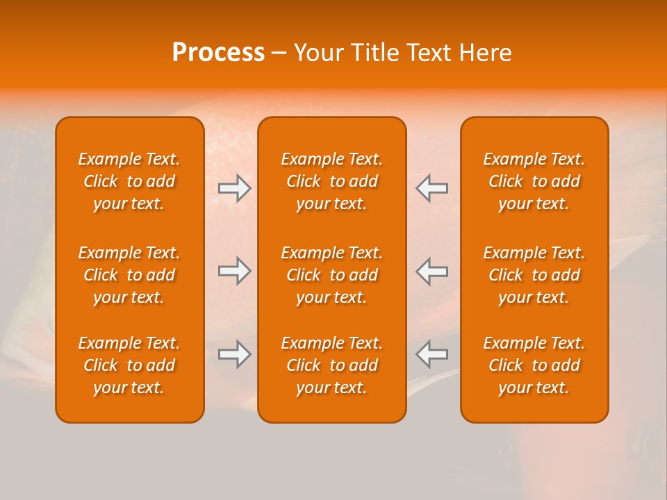 Symphysodon Display Pterophyllum PowerPoint Template